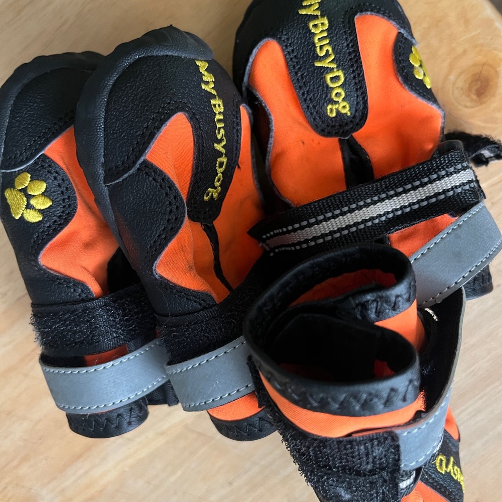 Dog boots, my bush dog brand.  2.5 inch size. Measure dogs door while standing